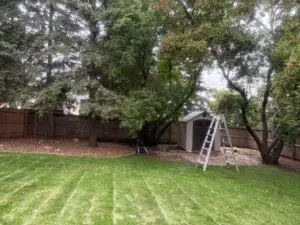 Storm Cleanup Service Sioux Falls